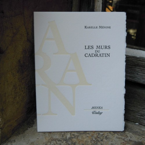 Les murs du Cadratin - Karelle Ménine