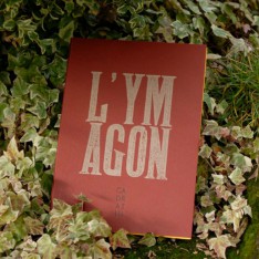 L'Ymagon - Claude Martingay