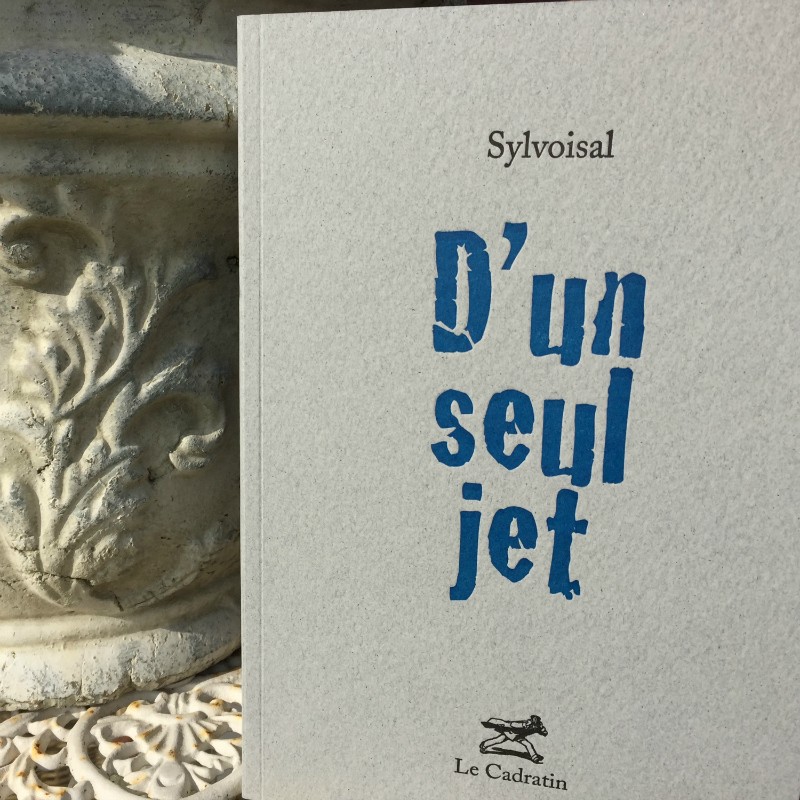 D'un seul jet - Sylvoisal