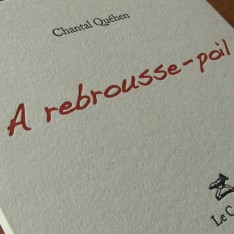A rebrousse-poil - Chantal Qu&eacute;hen