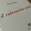 A rebrousse-poil - Chantal Quéhen