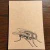 Writing Paper Pad A5 - the fly