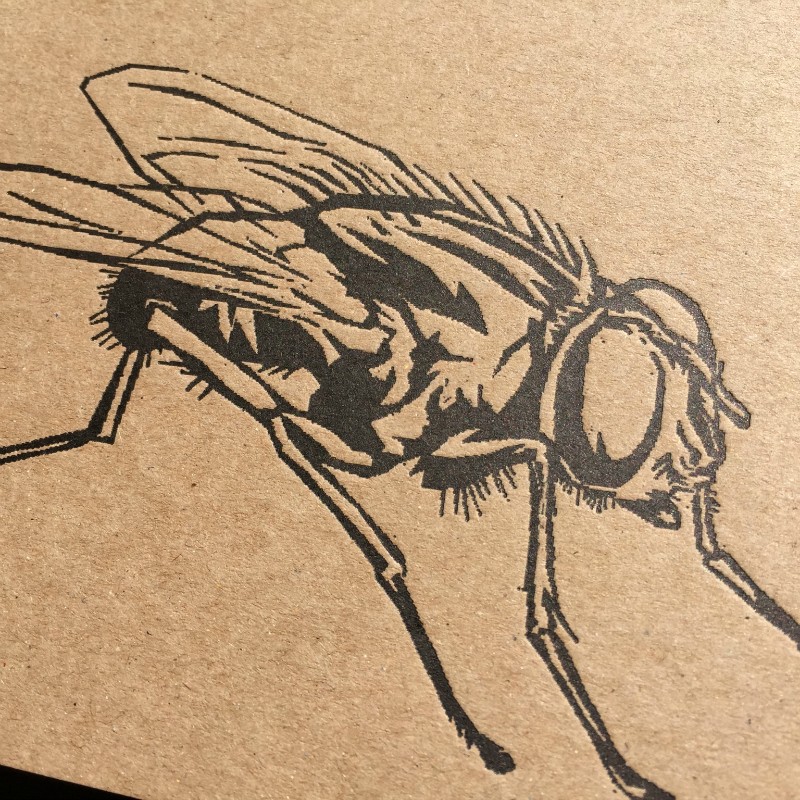 Writing Paper Pad A5 - the fly