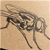 Writing Paper Pad A5 - the fly
