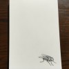 Writing Paper Pad A5 - the fly