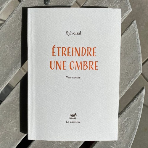 Étreindre une ombre - Sylvoisal