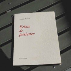 Eclats de patience - Maryse Renard